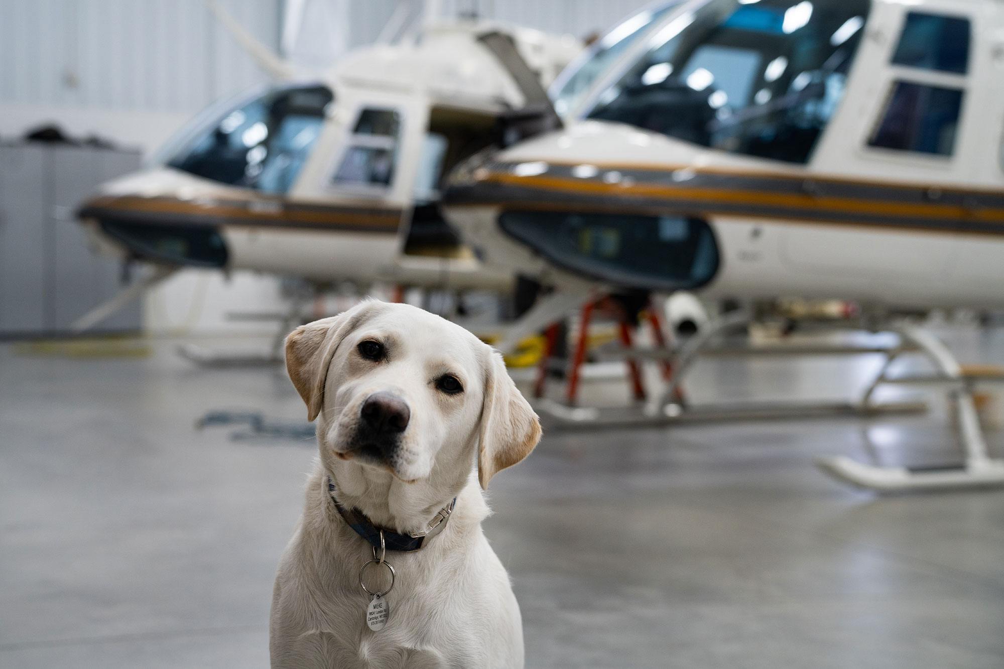 Chemair Helicopters Safety
